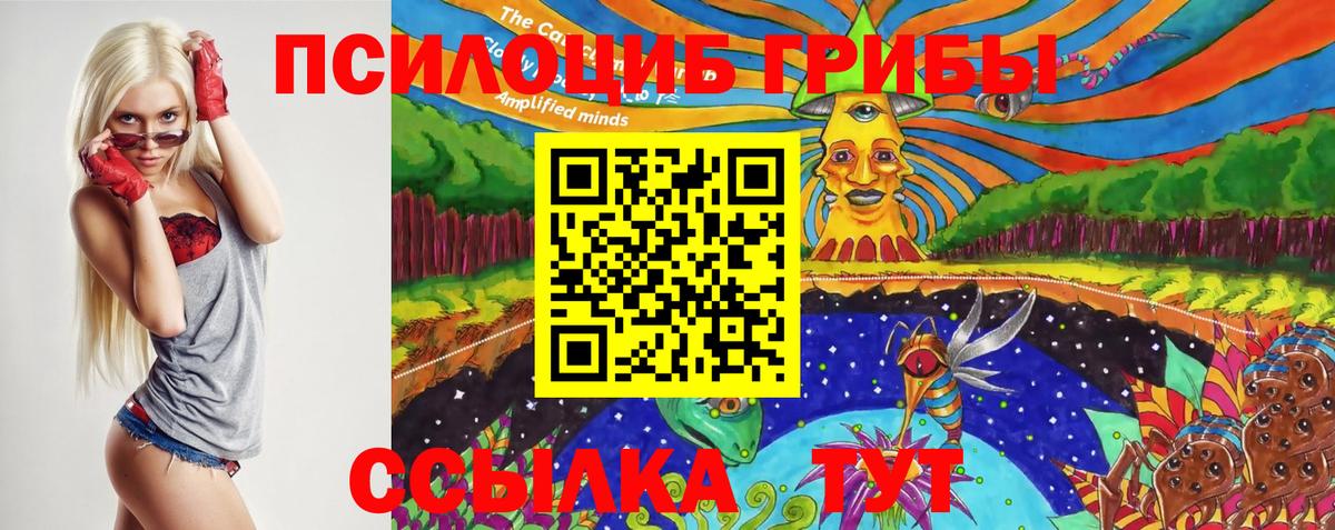 Галлюциногенные грибы Psilocybine cubensis  Галлюциногенные грибы мицелий  Черногорск  Вход с VPN 