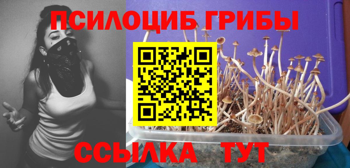 Галлюциногенные грибы GOLDEN TEACHER Черногорск